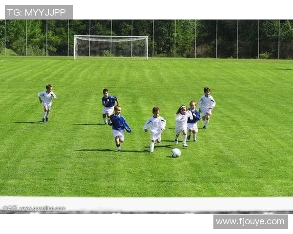 汇聚绿茵巨星风采展现足球传奇瞬间全景图片盛宴